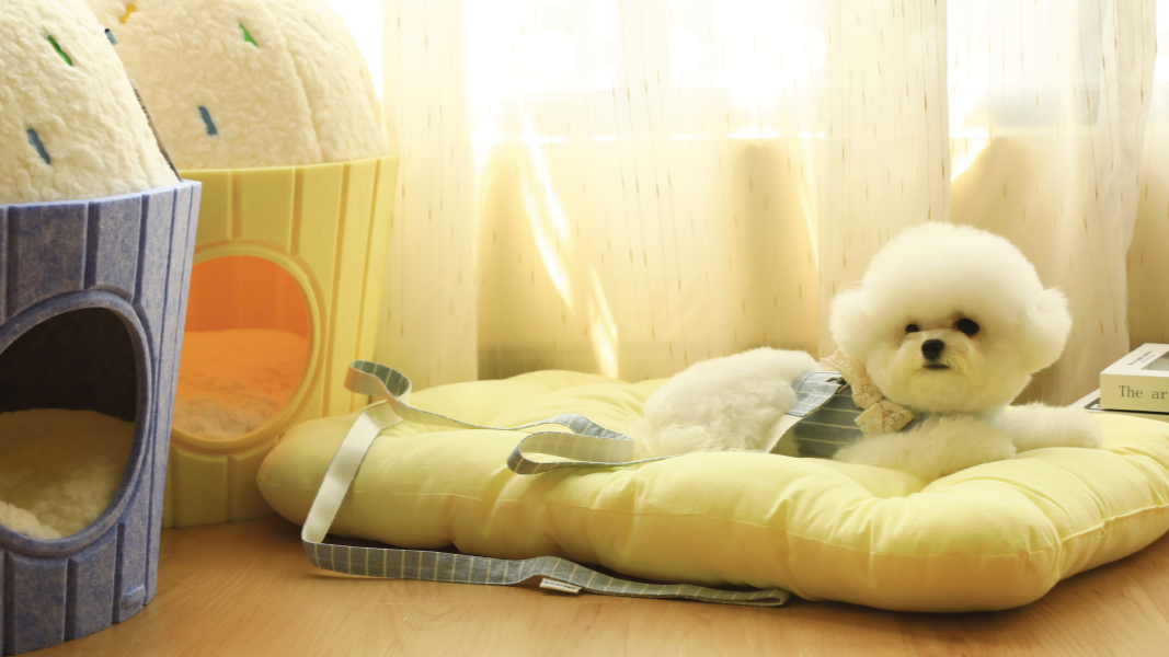 3d view of Gentle Pets