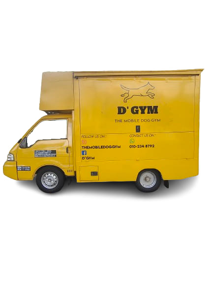 D'Gym #1 Pet Fitness Platform