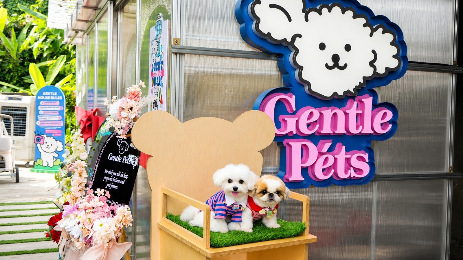 Gentle Pets